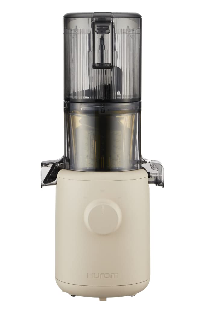 Hurom H310A Personal Self-Feeding Slow Juicer